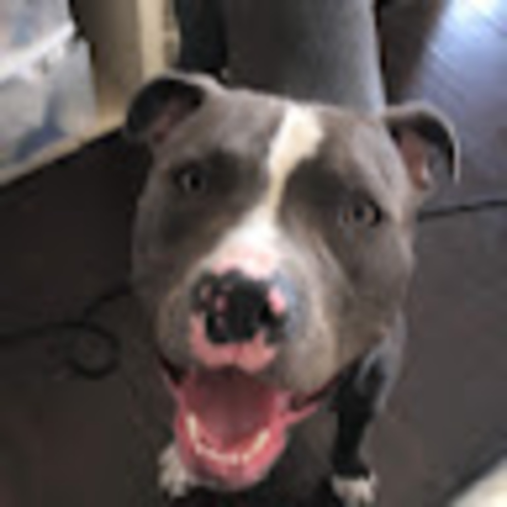 Meet your Posher, Mai